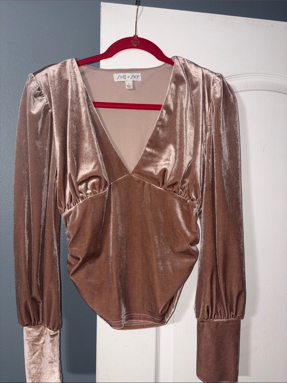 She + Sky Rose Gold Velvet V-Neck Bodysuit